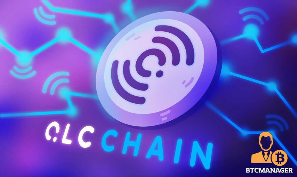 QLC/ QLC Chain 