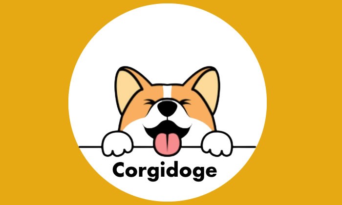 CORGI / Corgidoge