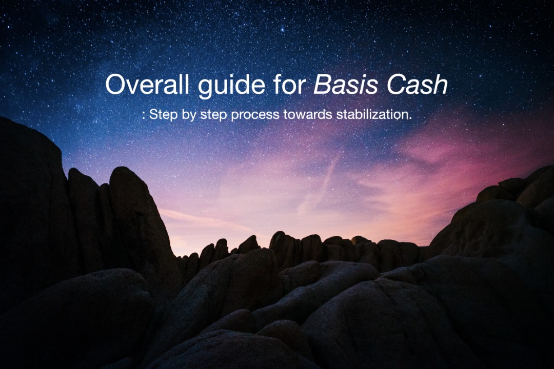 Basis Cash