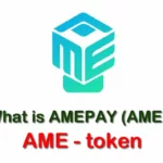 AME / AMEPAY