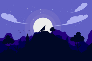 DIREWOLF / Direwolf