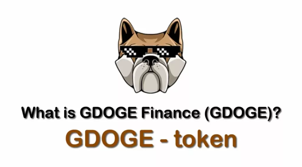 GDOGE/ GDOGE Finance