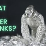 SSTX/Silver Stonks