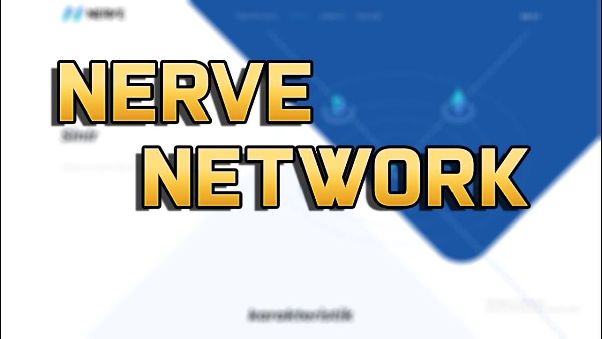 NVT/ NerveNetwork 