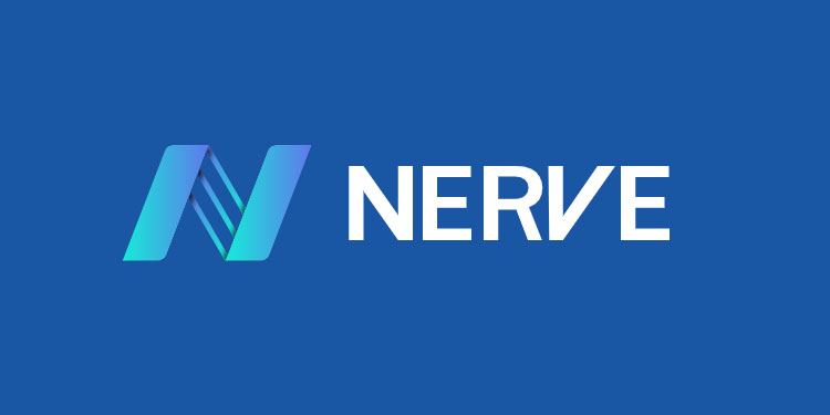 NVT/ NerveNetwork 
