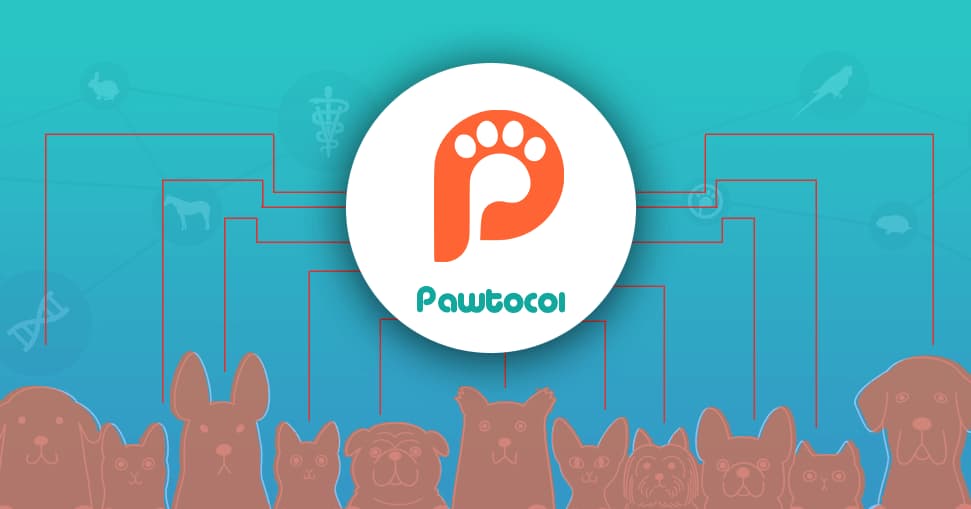 UPI/Pawtocol
