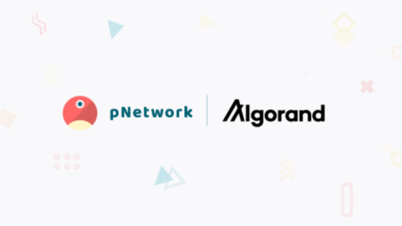 pNetwork