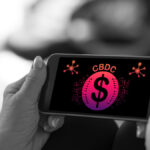 CBDC النيجيري '' خيار أكثر أمانًا '' من العملات المشفرة الصادرة بشكل خاص