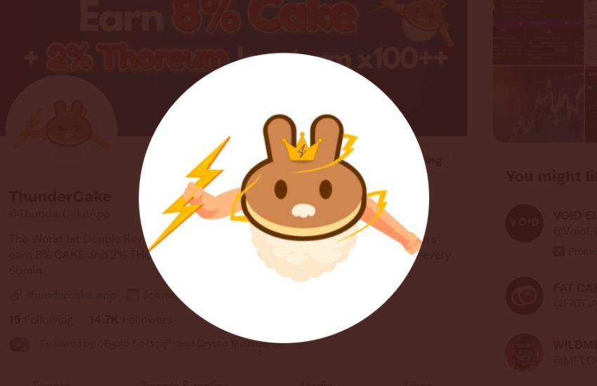 THUNDERCAKE / THUNDERCAKE.APP