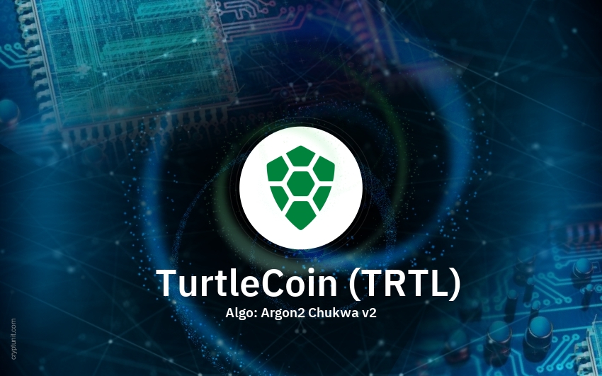 ما هي العملة الرقمية TRTL/TurtleCoin مشروعها و معلومات عنها