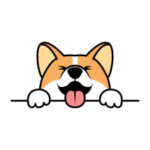 CORGI / Corgidoge