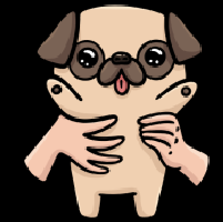 PUG / Pug Cash