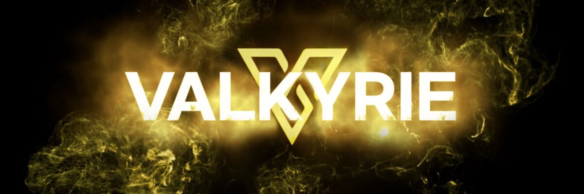  VKR /Valkyrie Protocol 