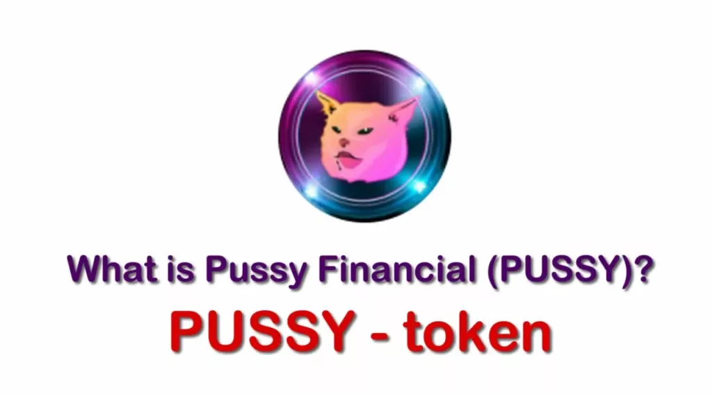 Pussy /Pussy Financial
