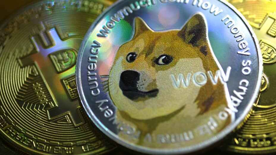 DOGECOIN / Buff Doge Coin