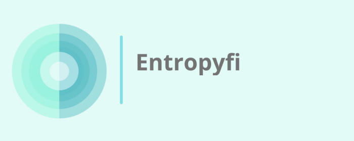 ERP /Entropyfi 
