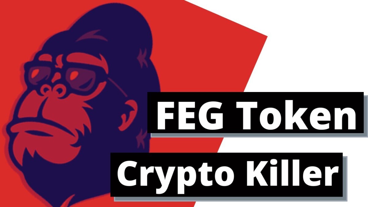 FEG /FEG Token