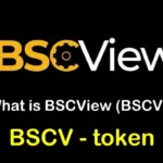 BSCV / BSCView