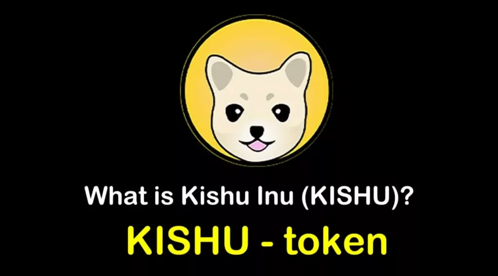 Kishu /Kishu Inu