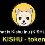Kishu /Kishu Inu