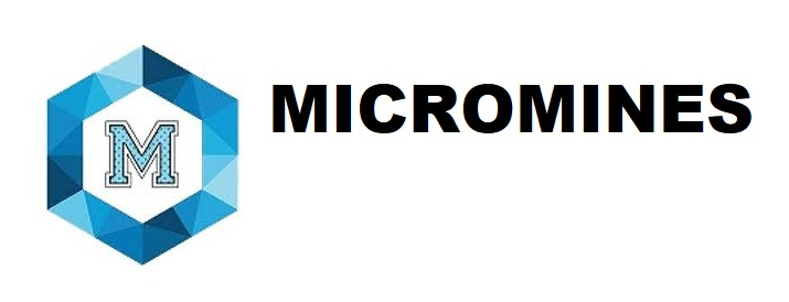  Micro/Micromines