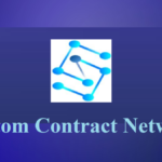 CCN/CustomContractNetwork