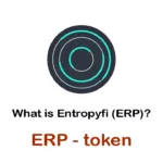 ERP /Entropyfi
