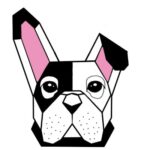 BDOG / Bulldog Token