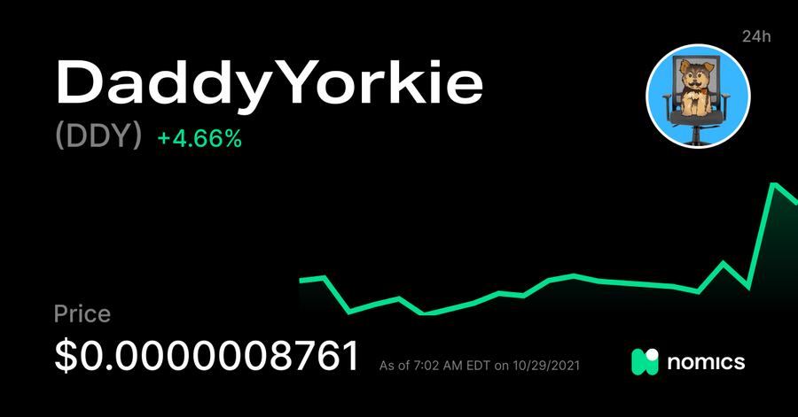 DDY / DaddyYorkie