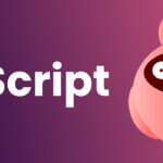 DMST / DMScript