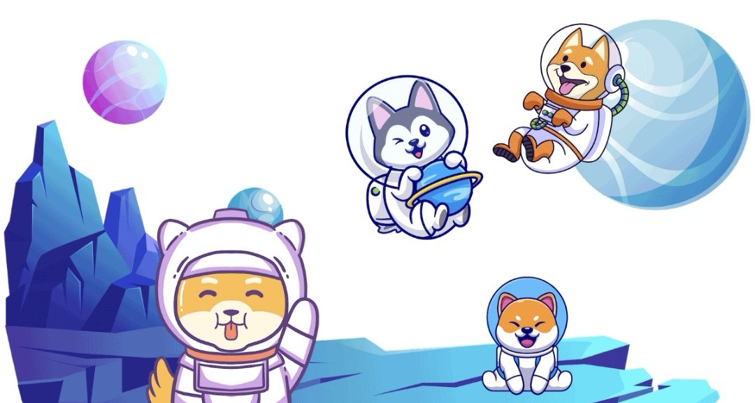 PPN / Puppies Network