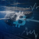 تظهر البيانات المتعلقة بالسلسلة أن حيتان البيتكوين “متمسكين”مع اقتراب عملة البيتكوين من ستين ألف دولار أميركي.