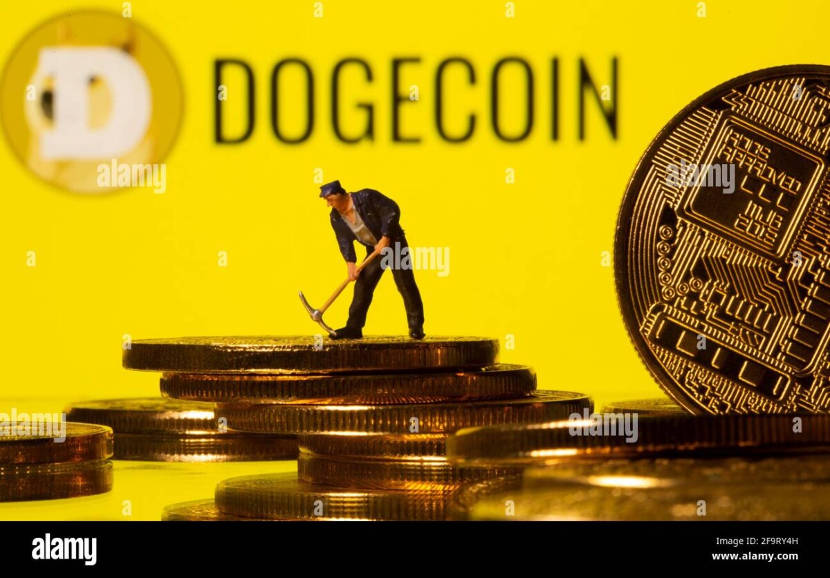 TOYDOGE / Toy Doge Coin