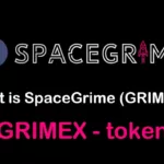 GRIMEX / SpaceGrime