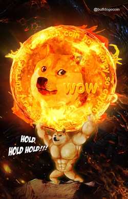 DOGECOIN / Buff Doge Coin