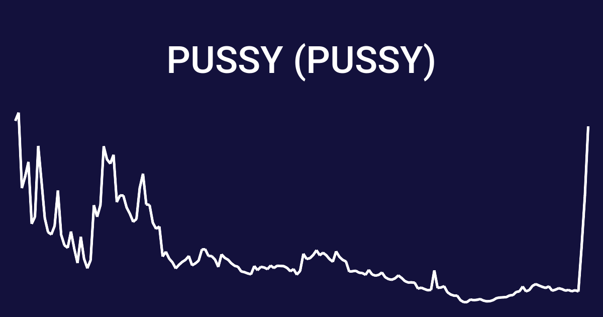Pussy /Pussy Financial