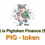 Pig/Pig Finance