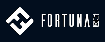 FOTA / Fortuna