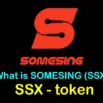 SSX /SOMESING