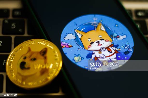 STARLINKDOGE / Baby Starlink Doge