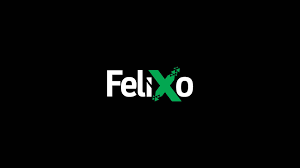 FLX / Felixo Coin