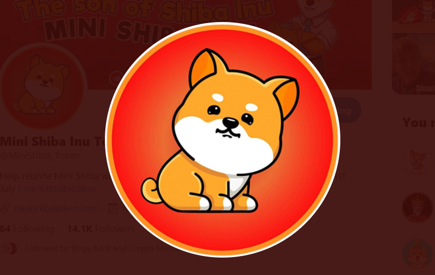 MINISHIBA / Mini Shiba