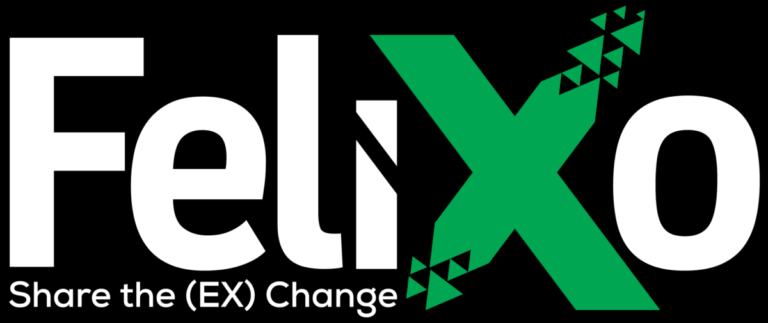 ما هي العملة الرقمية FLX / Felixo Coin مشروعها و معلومات عنها