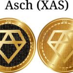 set physical golden coin asch xas set physical golden coin asch xas digital cryptocurrency asch xas icon set vector 110982225