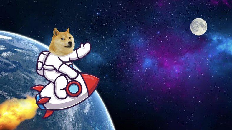 SPACEXDOGE / Doge Universe