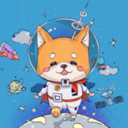 STARLINKDOGE / Baby Starlink Doge