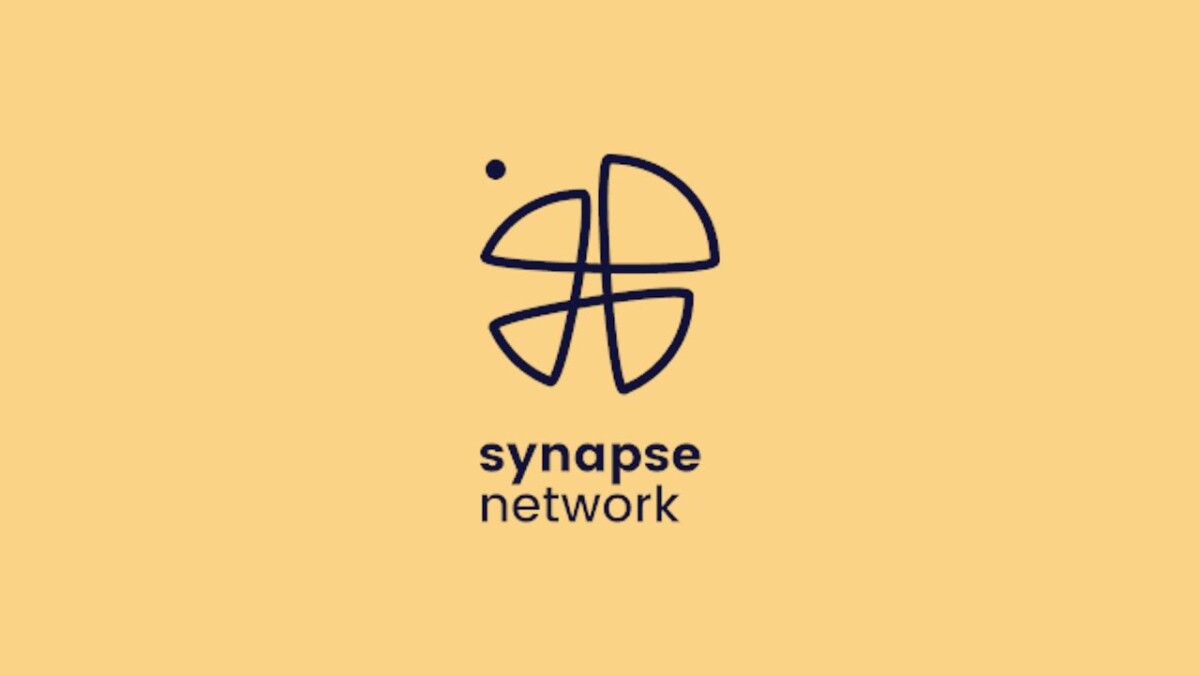 Syn/Synapse 
