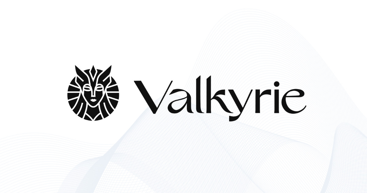 VALK / Valkyrio
