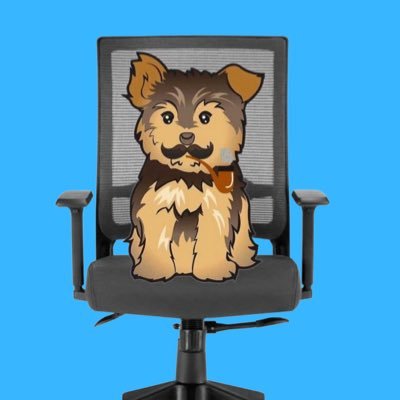 DDY / DaddyYorkie