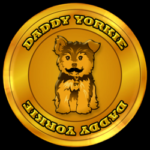 DDY / DaddyYorkie